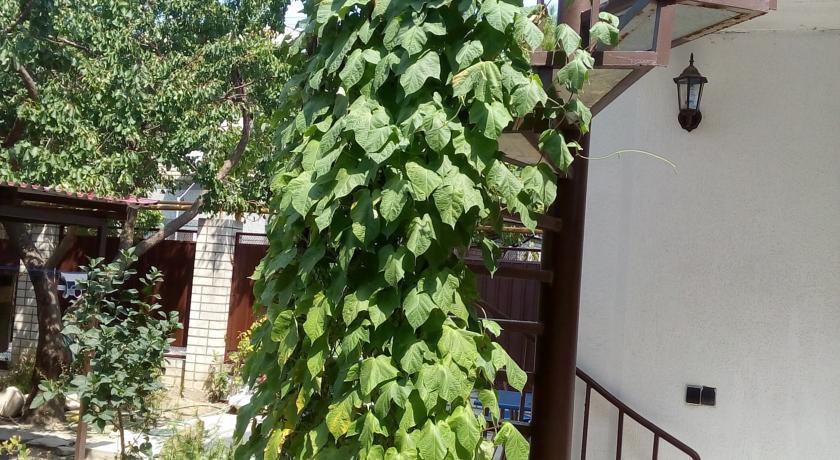 Гостиница Guest House Granat Кабардинка-9